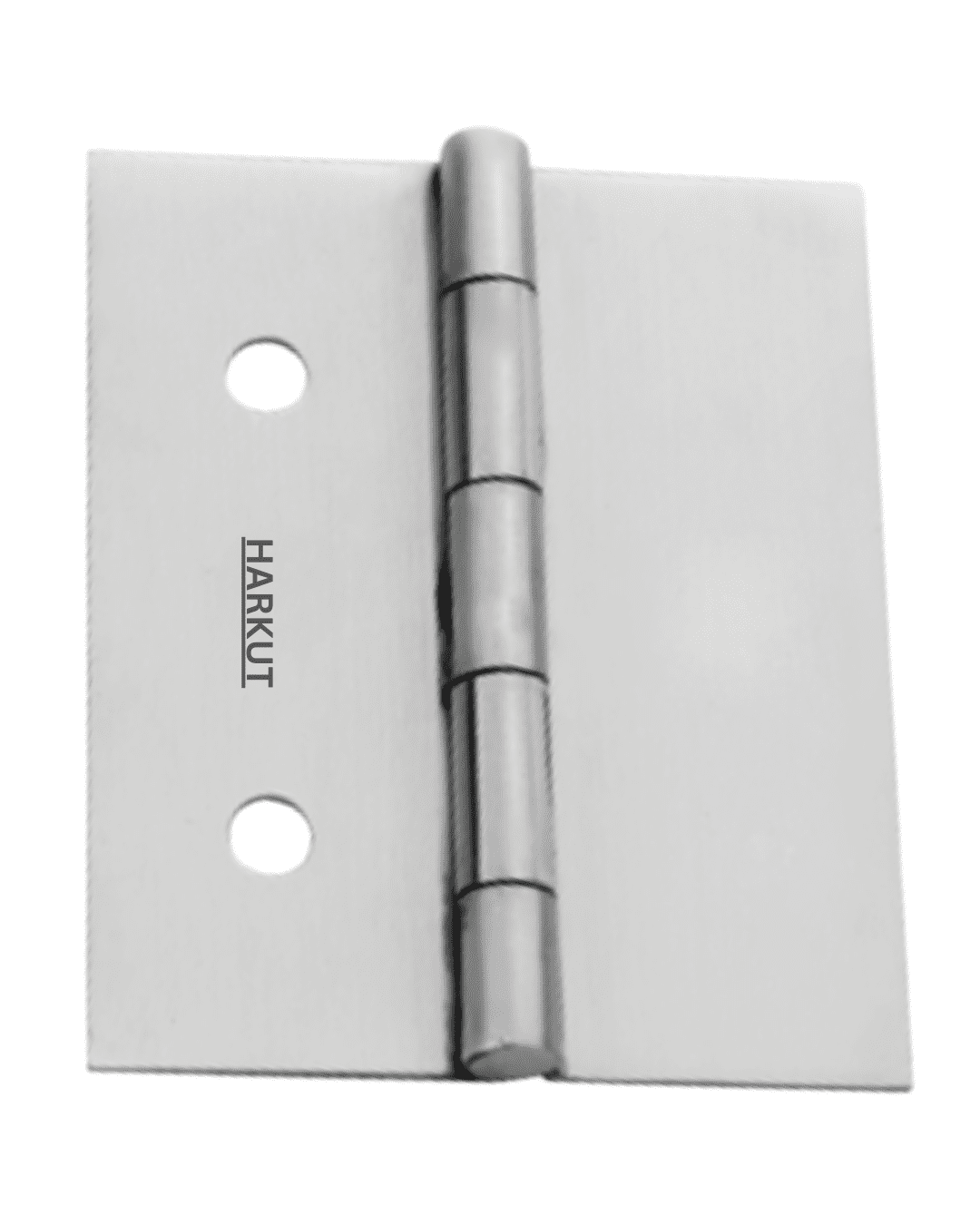 Stainless Steel Hinges
