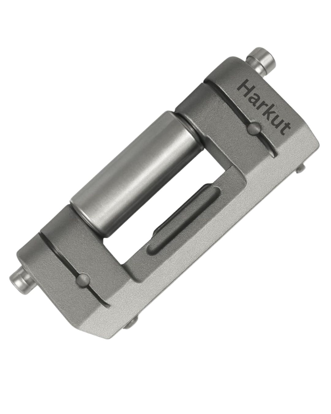 Rittal Type White Metal Hings